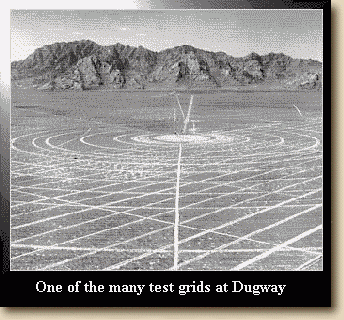Target "S" Grid